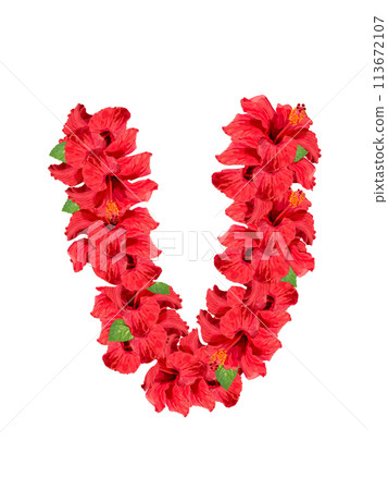 用於芙蓉射線（紅色）合成 113672107