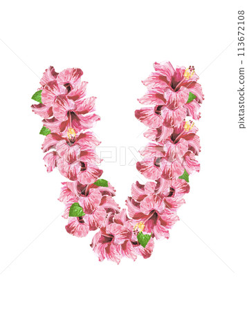 Hibiscus Lei (Pink) for compositing 113672108
