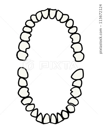 Tooth form 113672124