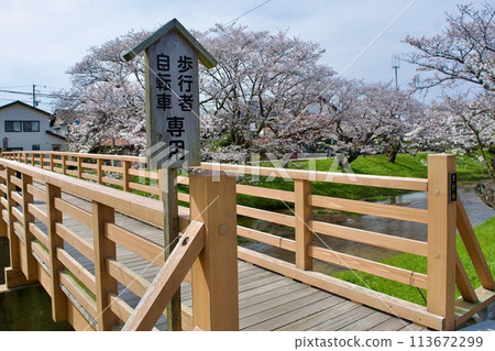 Wooden bridge for pedestrians and bicycles 113672299