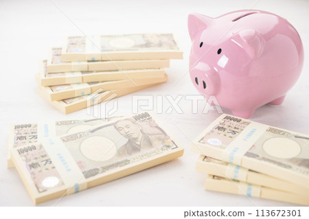 豬存錢罐和金錢 113672301