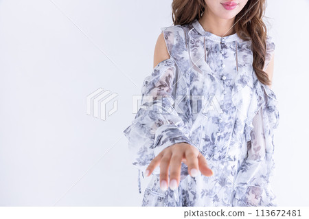 Woman asking for a handshake Woman asking for a handshake 113672481