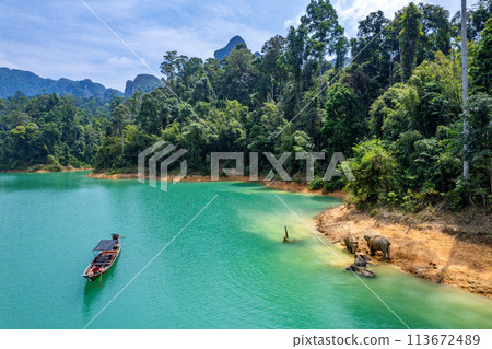 Encounter with a family of wild elephants in Khao Sok national park, on the Cheow lan lake in Surat 113672489