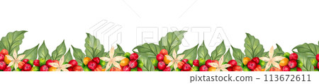 Coffee seamless border with beans and flower. Watercolor illustration. Aroma of Robusta and Arabica varieties. Frame of coffee cherries ripening. Hand drawn isolated art. Natural style. Coffee day. Coffee seamless border with beans and flower. Watercolor illustration. Aroma of Robusta and Arabica varieties. Frame of coffee cherries ripening. Hand drawn isolated art. Natural style. Coffee day. 113672611