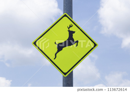 動物警告路標 113672614