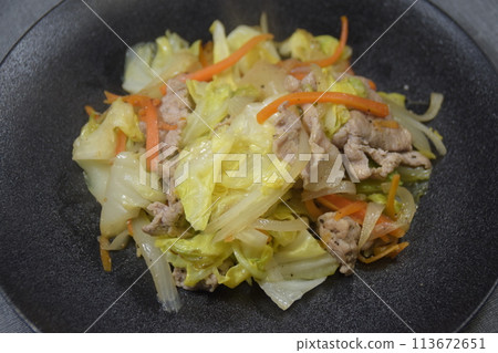 炒蔬菜豬肉照片 炒蔬菜豬肉照片 113672651