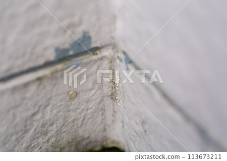 A balcony dirty with moss and dust 113673211