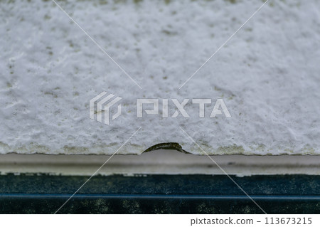 A balcony dirty with moss and dust A balcony dirty with moss and dust 113673215