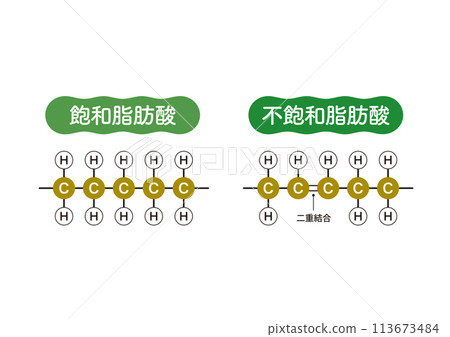 Types of oil Saturated fatty acids Unsaturated fatty acids Oil molecular structure 113673484