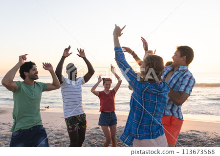 Diverse group of friends enjoy a beach sunset, with copy space 113673568