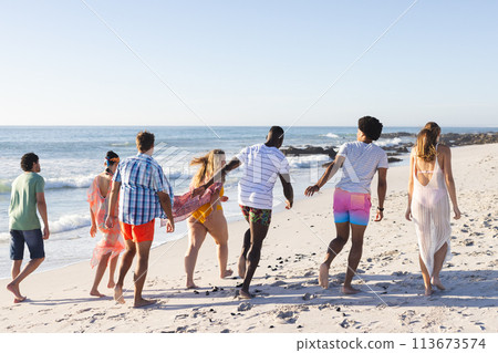 Group of friends enjoy a walk on the beach 113673574