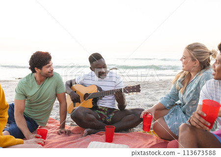 Diverse friends enjoy a beach gathering, having a party, with copy space 113673588