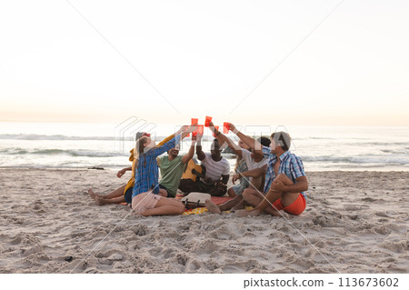 Diverse group of friends toast on a beach at sunset, having a party Diverse group of friends toast on a beach at sunset, having a party 113673602