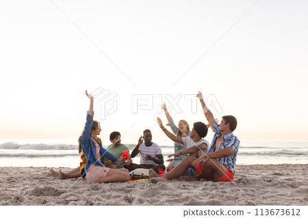 Diverse group of friends enjoy a beach sunset and having a party, with copy space Diverse group of friends enjoy a beach sunset and having a party, with copy space 113673612