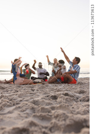 Diverse group of friends enjoy a beach sunset and having a party, with copy space 113673613