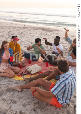 Diverse group of friends enjoy a beach party at sunset, with copy space 113673615