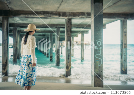 在夏威夷歐胡島碼頭下行走的婦女 113673805