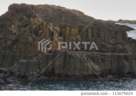 Columnar joints at Tsumekizaki in Shimoda (Tawaraiso), Shimoda City, Shizuoka Prefecture 113674024