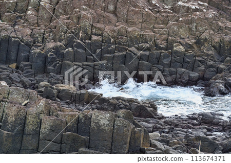 Columnar joints at Tsumekizaki in Shimoda (Tawaraiso), Shimoda City, Shizuoka Prefecture 113674371
