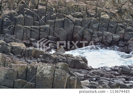 Columnar joints at Tsumekizaki in Shimoda (Tawaraiso), Shimoda City, Shizuoka Prefecture 113674485