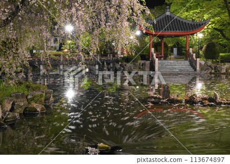 Flower raft in the Sino-Japanese Friendship Garden in Gifu Park Flower raft in the Sino-Japanese Friendship Garden in Gifu Park 113674897