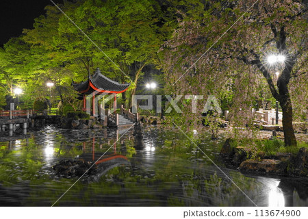 岐阜公園中日友好花園花筏 岐阜公園中日友好花園花筏 113674900