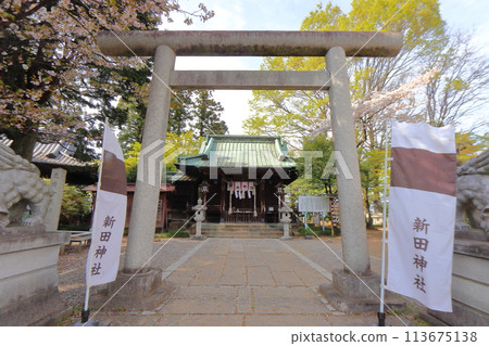 Main hall of Nitta Shrine at the site of Kanayama Castle (Ota City, Gunma Prefecture) 113675138
