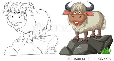 Smiling Yak on a Rock Illustration Smiling Yak on a Rock Illustration 113675529