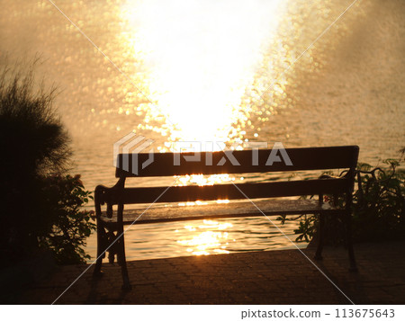 Lake Bench in Sunset with twilight color and bokeh. Picture for use in illustrations Background image or copy space 113675643