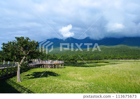 World Heritage Shiretoko National Park in Hokkaido, Japan World Heritage Shiretoko National Park in Hokkaido, Japan 113675673