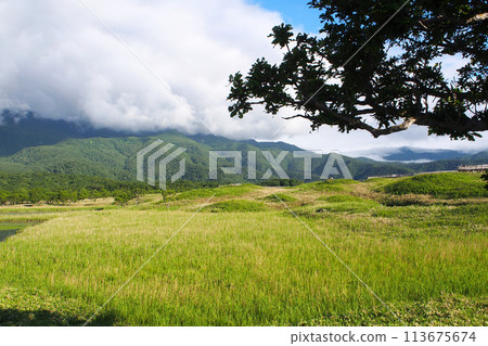 World Heritage Shiretoko National Park in Hokkaido, Japan 113675674