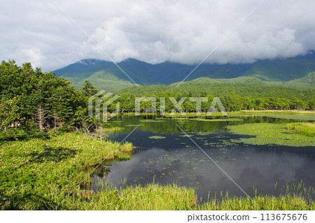 World Heritage Shiretoko National Park in Hokkaido, Japan 113675676