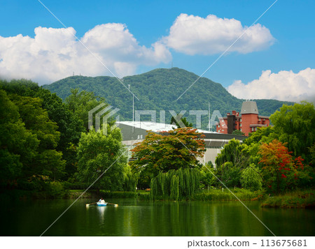 Picture of a couple rowing a boat in Nagajima Park. A famous park in Sapporo. Hokkaido Prefecture 113675681