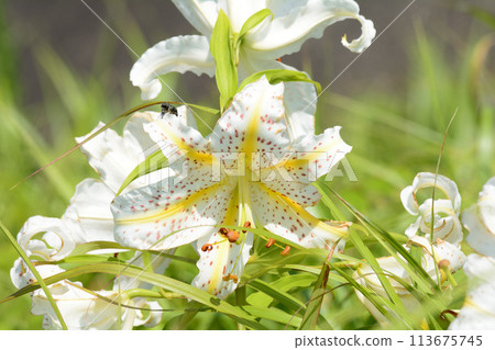 堀川水壩 2023-7-22 #117 113675745