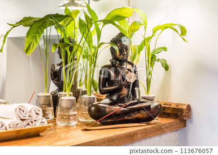 Spathiphyllum cochlearispathum commonly called peace lily growing in water in glass, with buddha Spathiphyllum cochlearispathum commonly called peace lily growing in water in glass, with buddha 113676057