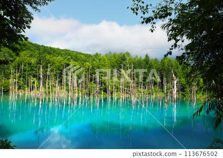 The blue pond 113676502