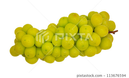 Isolated (cut out) of Shine Muscat grape fruit on white background 113676594