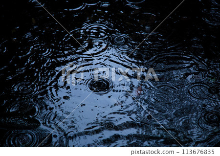 Falling rain ripples 113676835