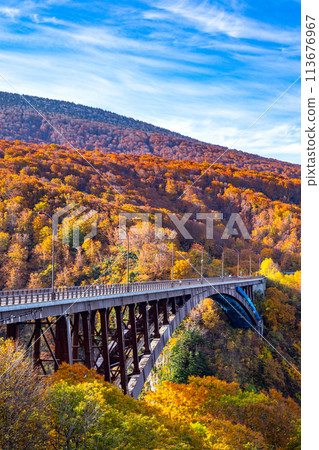 Jogakura Bridge in Aomori with Autumn Leaves landscape background. A wonderful view of Jyogakura-keiryu Stream, a famous place in the Towada-hachimantai National Park, Aomori, Japan Jogakura Bridge in Aomori with Autumn Leaves landscape background. A wonderful view of Jyogakura-keiryu Stream, a famous place in the Towada-hachimantai National Park, Aomori, Japan 113676967