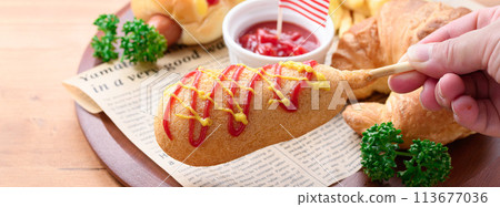 American dog American dog 113677036