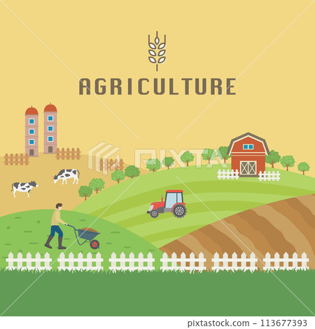 Agriculture, fields and pastures, farming scenes Agriculture, fields and pastures, farming scenes 113677393