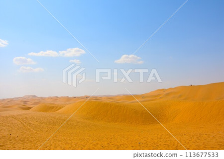 Vast landscape of the Gobi Desert 113677533