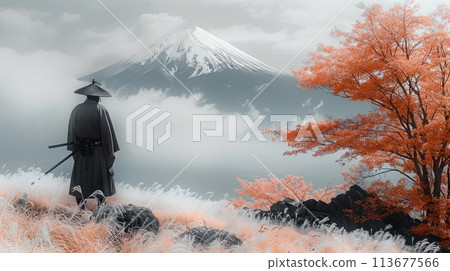 Japanese samurai . noir style 113677566
