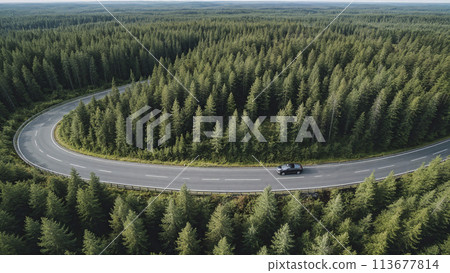 空中俯瞰壹輛汽車穿過蜿蜒的瀝青公路森林 空中俯瞰壹輛汽車穿過蜿蜒的瀝青公路森林 113677814