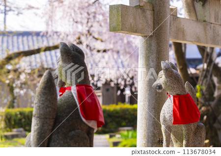 京都山科花山稻荷神社藥丸大神駒經 113678034