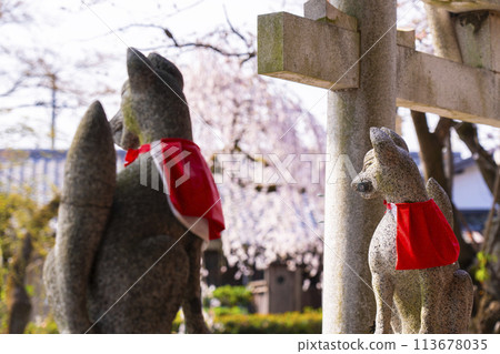 京都山科花山稻荷神社藥丸大神駒經 京都山科花山稻荷神社藥丸大神駒經 113678035