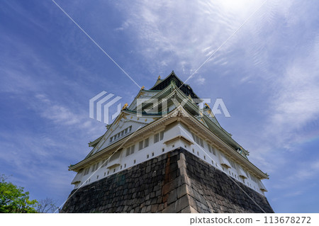 Osaka Castle  113678272