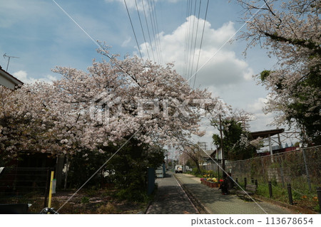 走在小區 113678654