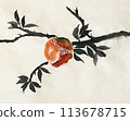 Pomegranate ink painting 113678715
