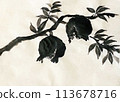 Pomegranate ink painting 113678716